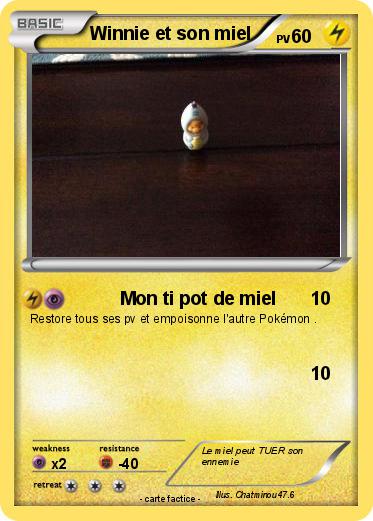 Pokemon Winnie et son miel