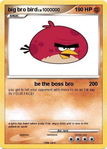 Pokemon big bro bird