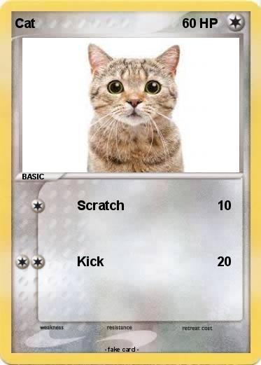 Pokemon Cat