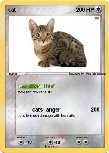 Pokemon cat