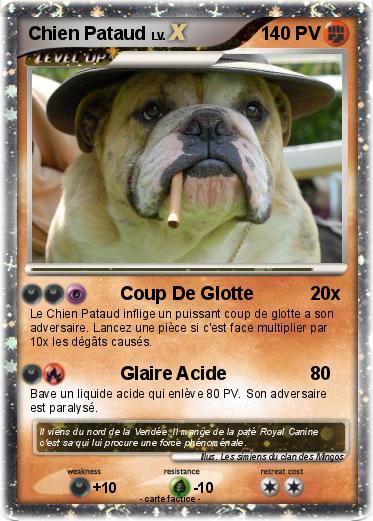 Pokemon Chien Pataud