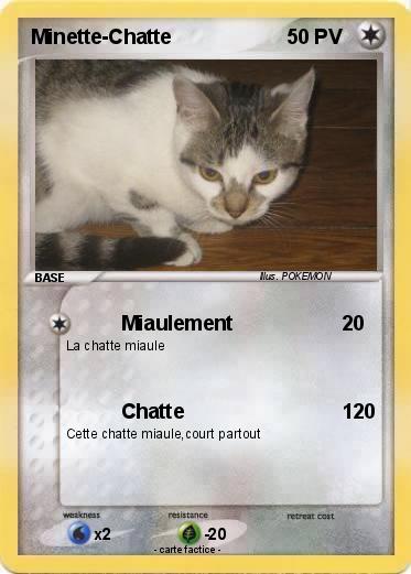 Pokemon Minette-Chatte