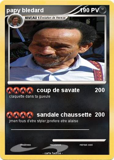 Pokemon papy bledard