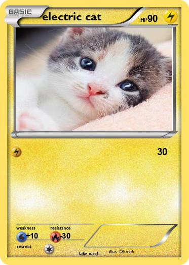Pokemon electric cat