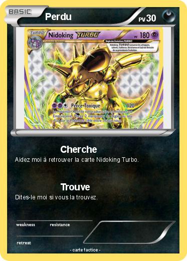 Pokemon Perdu