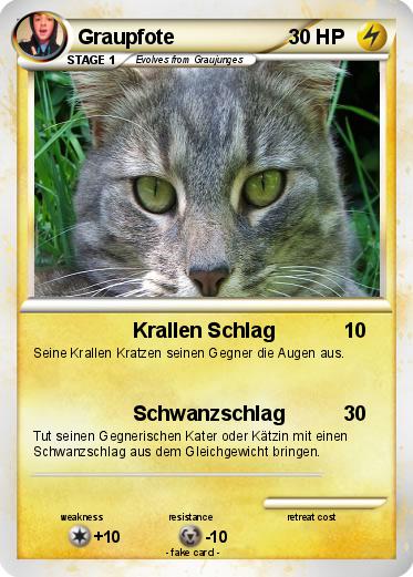 Pokemon Graupfote