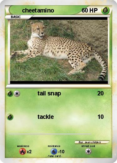 Pokemon cheetamino