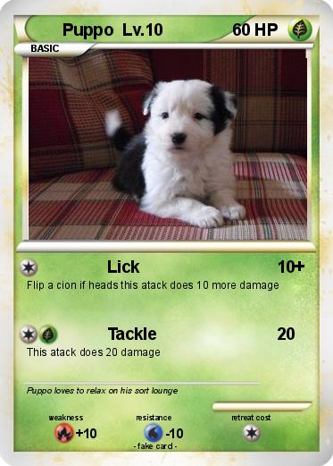 Pokemon Puppo  Lv.10