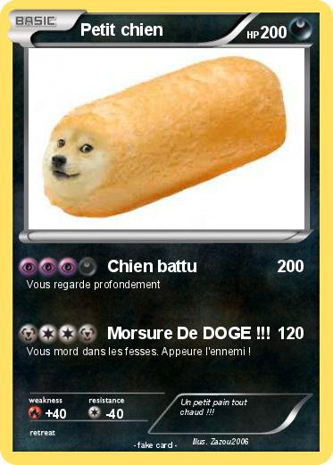 Pokemon Petit chien