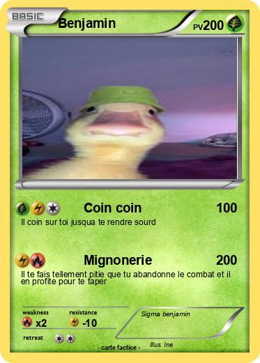 Pokemon Benjamin