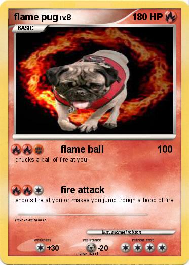 Pokemon flame pug