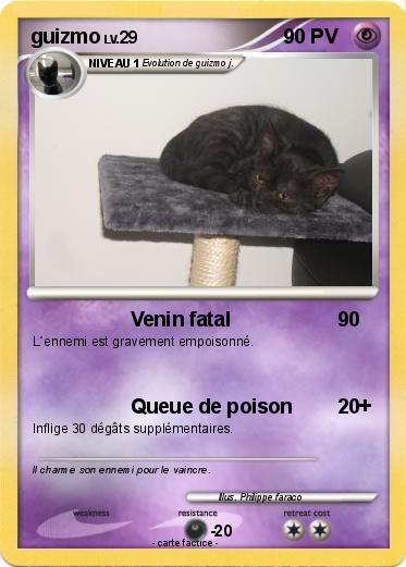 Pokemon guizmo