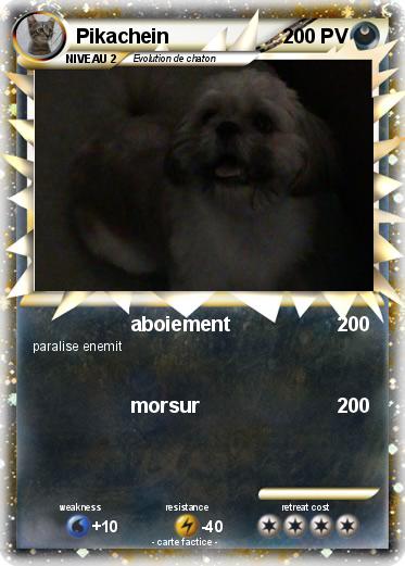 Pokemon Pikachein