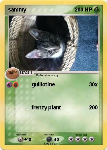 Pokemon sammy