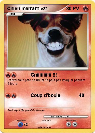 Pokemon Chien marrant