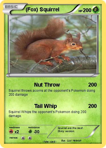 Pokemon (Fox) Squirrel