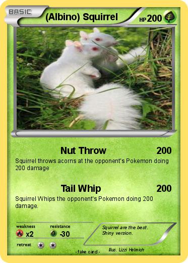 Pokemon (Albino) Squirrel