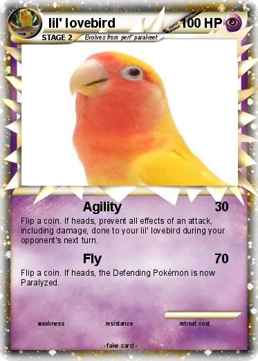 Pokemon lil' lovebird