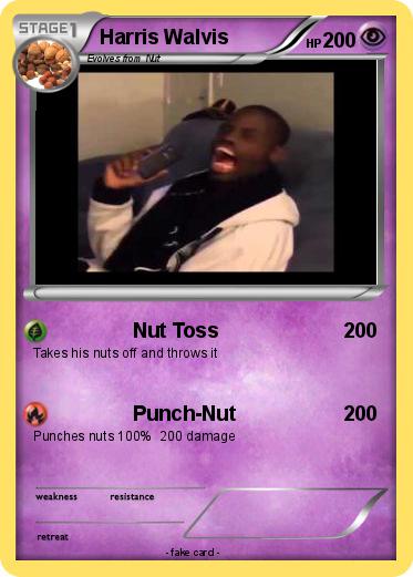 Pokemon Harris Walvis