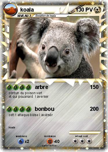 Pokemon koala