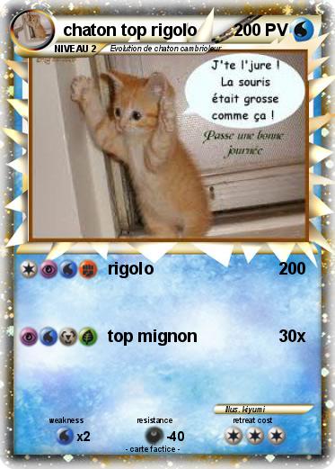 Pokemon chaton top rigolo
