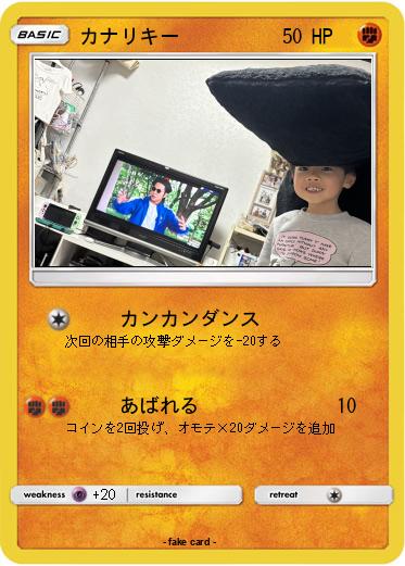 Pokemon カナリキー