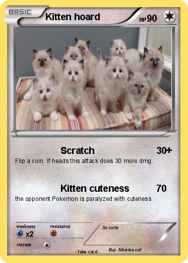 Pokemon Kitten hoard