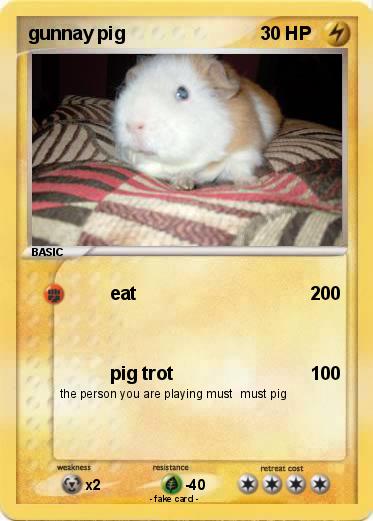Pokemon gunnay pig