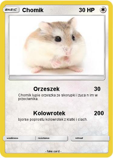 Pokemon Chomik