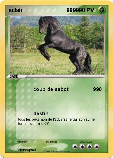 Pokemon éclair                            9999