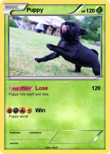Pokemon Puppy