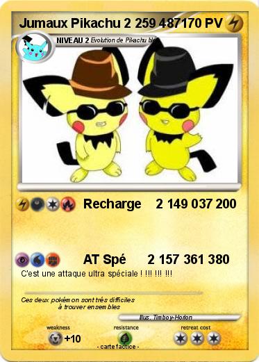 Pokemon Jumaux Pikachu 2 259 487