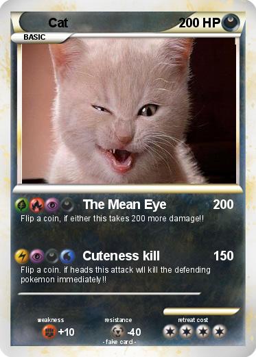 Pokemon Cat