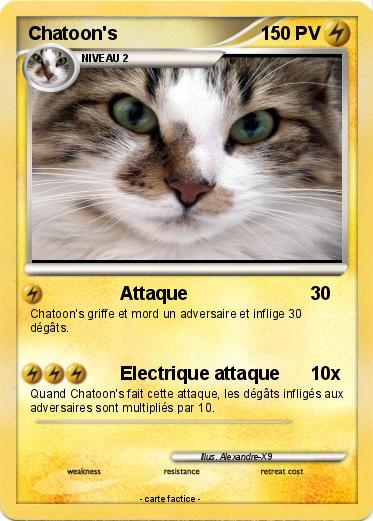 Pokemon Chatoon's