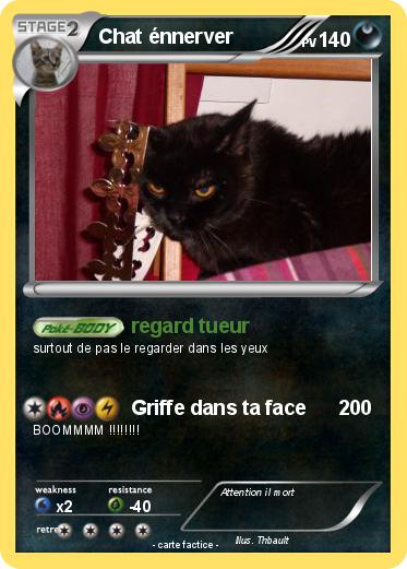 Pokemon Chat énnerver