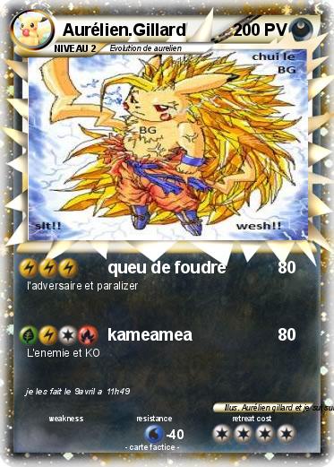 Pokemon Aurélien.Gillard