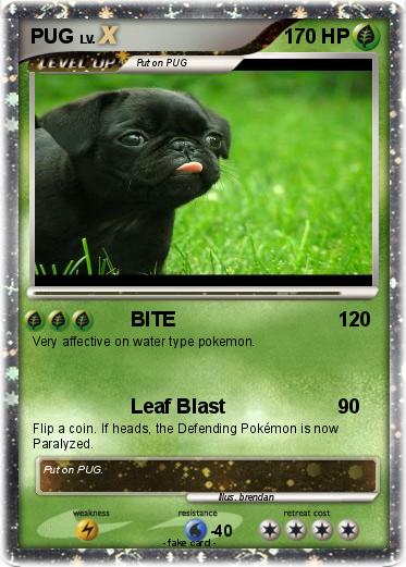Pokemon PUG