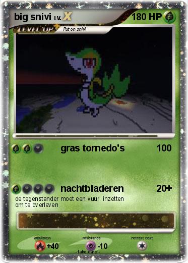 Pokemon big snivi