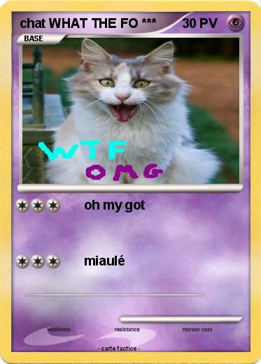 Pokemon chat WHAT THE FO ***