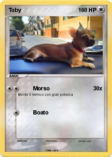 Pokemon Toby