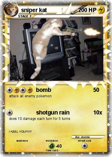 Pokemon sniper kat