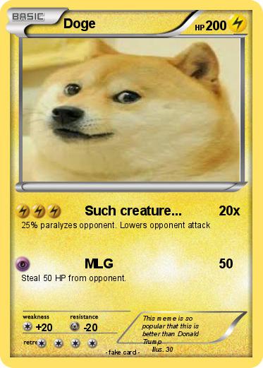 Pokemon Doge