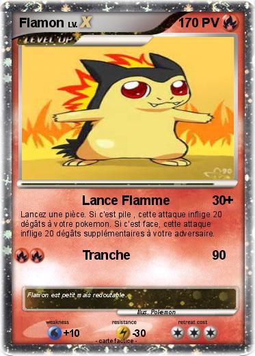 Pokemon Flamon