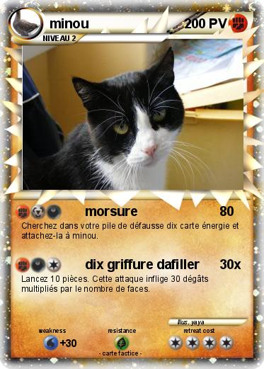 Pokemon minou