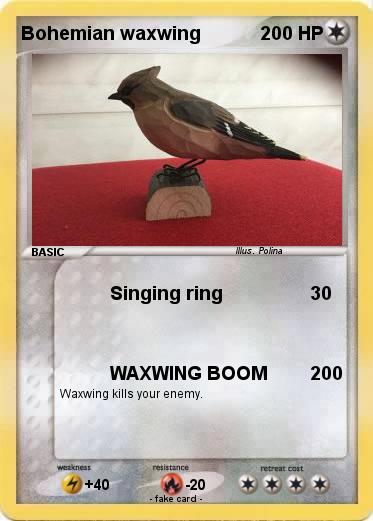 Pokemon Bohemian waxwing