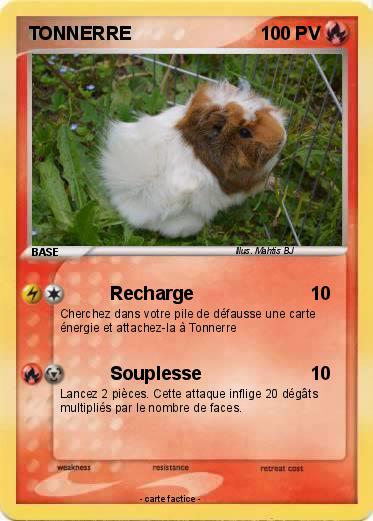Pokemon TONNERRE