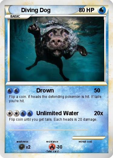 Pokemon Diving Dog