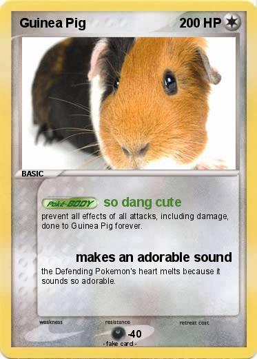 Pokemon Guinea Pig