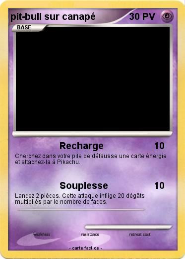 Pokemon pit-bull sur canapé