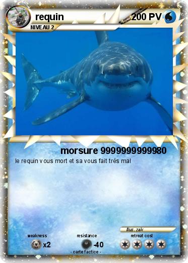 Pokemon requin